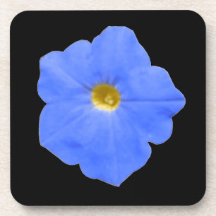 Petunia Untersetzer