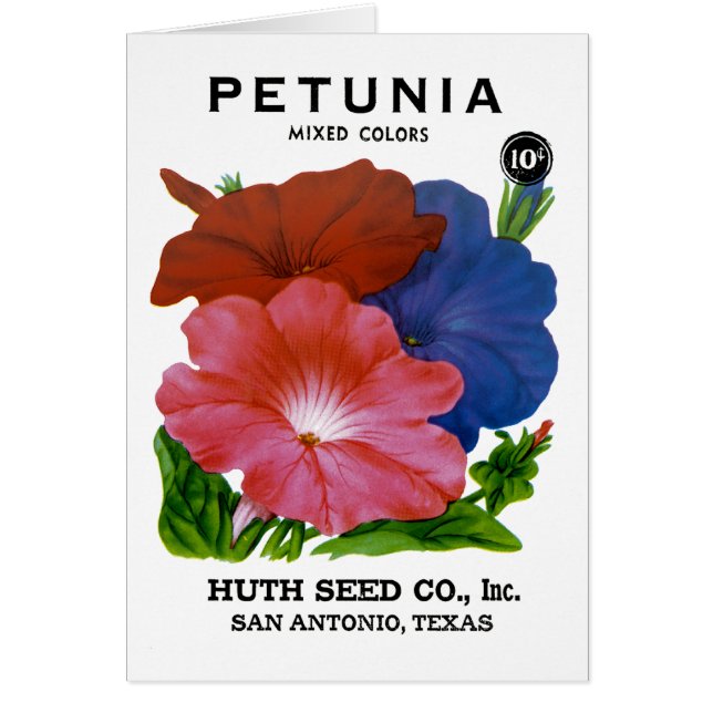 Petunia Vintag Seed Packet (Vorne)