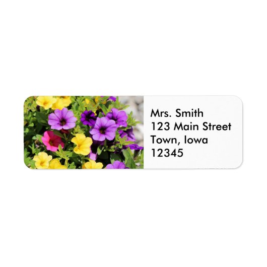 Petunias (Vorne)