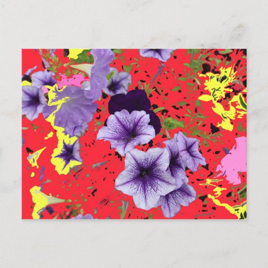 Petunias Bright Background Postkarte (Vorderseite)