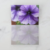 Petunias Dankeskarte (Innenseite)