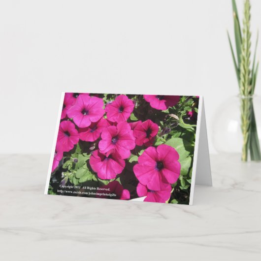 Petunias Feiertagskarte (Vorderseite)