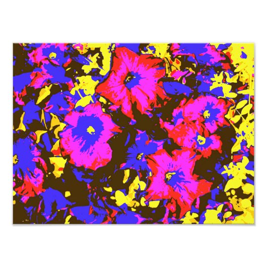 PETUNIAS FOTODRUCK (Vorne)