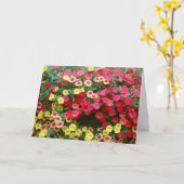 Petunias Karte (Gelbe Blume)