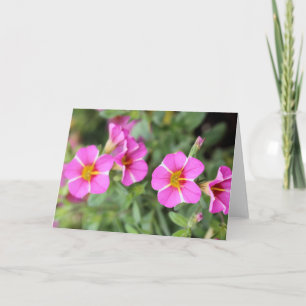 Petunias Karte