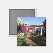 Petunias Magnet (Vorderseite/Rückseite)