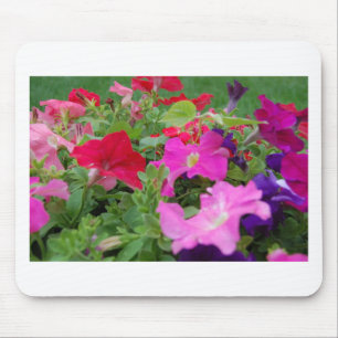Petunias Mousepad