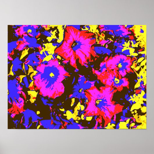 PETUNIAS POSTER (Vorne)