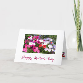 Petunias Rosa und Weiße Blume Muttertagskarte Karte