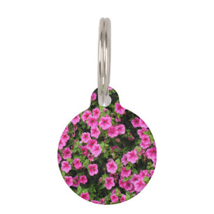 Petunias und Rasen Haustiermarke