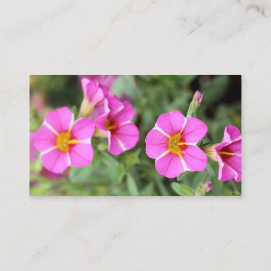 Petunias Visitenkarte (Rückseite)