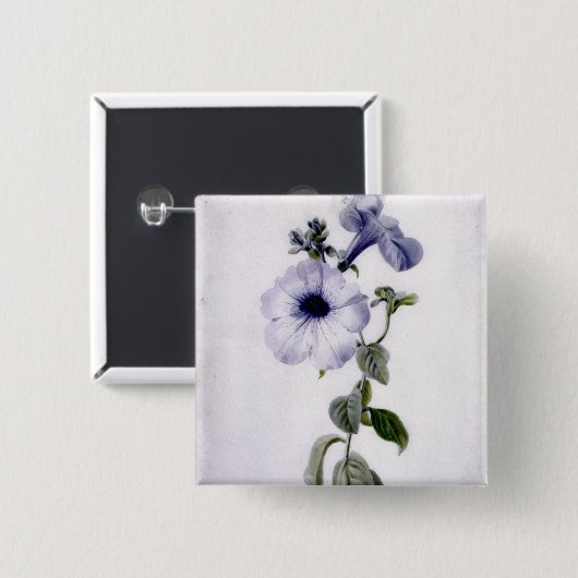 Petunie Button (Vorne & Hinten)
