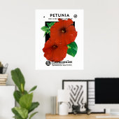 Petunie Poster (Heimbüro)