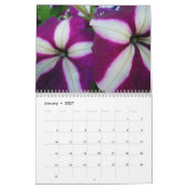 Petunien - ein Kalender 20XX (Jan 2027)