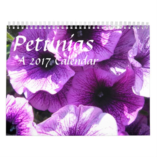 Petunien - ein Kalender 20XX (Titelbild)