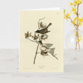 Pewit Flycatcher, Phoebe, Audubon Birds of America Karte (Gelbe Blume)