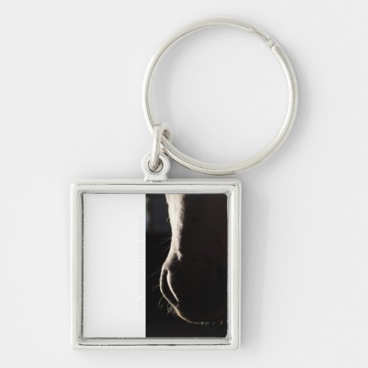 Pewter Key Chain Schlüsselanhänger (Vorne)