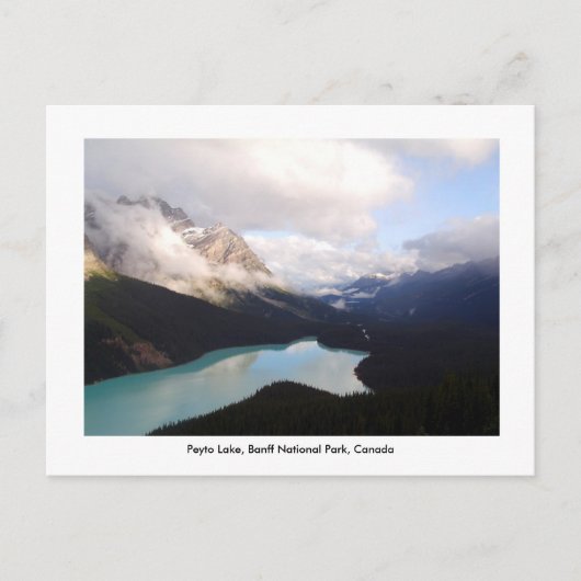 Peyto Lake / Banff National Park, Kanada. Postkarte (Vorderseite)