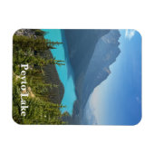 Peyto Lake in Banff Canada Magnet (Horizontal)