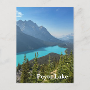 Peyto Lake in Banff Kanada Postkarte