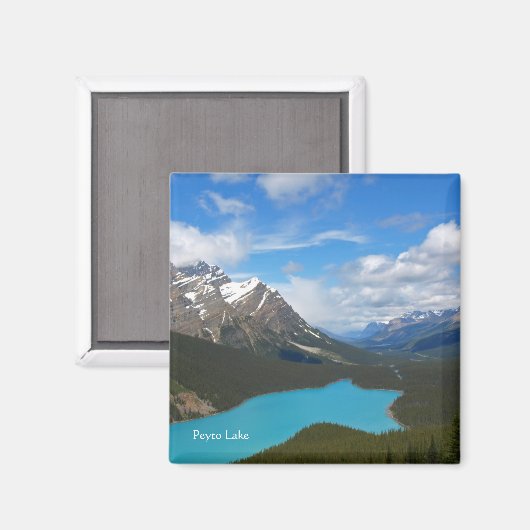 Peyto Lake Magnet (Vorderseite/Rückseite)