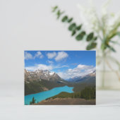 Peyto Postcard Postkarte (Stehend Vorderseite)