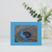Pfacock Feather Postcard Postkarte (Stehend Vorderseite)