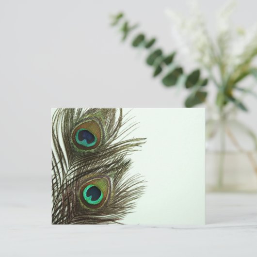 Pfacock Feather Postcard Postkarte (Stehend Vorderseite)