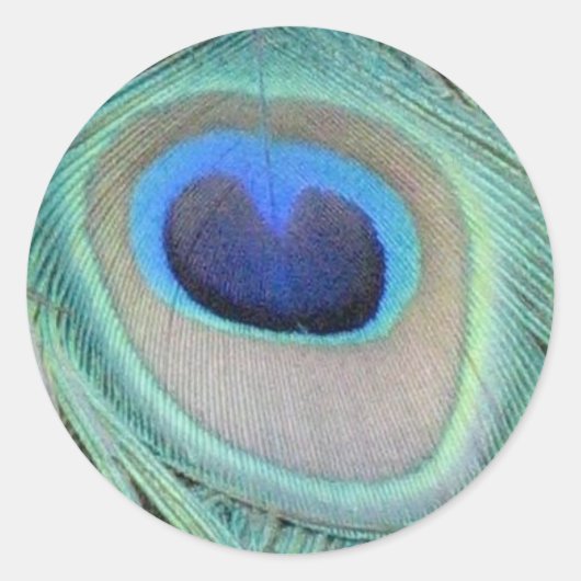 Pfacock Feather Sticker (Vorderseite)