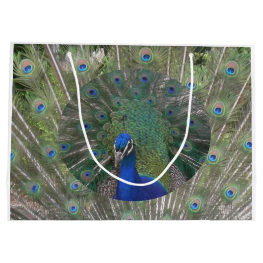 Pfacock-Geschenktasche Große Geschenktüte (Rückseite)