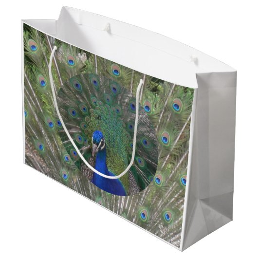 Pfacock-Geschenktasche Große Geschenktüte (Rückseite Schrägansicht)