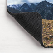 Pfad auf Howard oder Mousepad (Ecke)