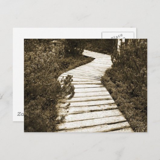 Pfad auf Torfmoor in Sepia-Farbe Postkarte (Vorne/Hinten)