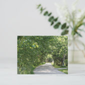 Pfad der Bäume Postkarte (Stehend Vorderseite)