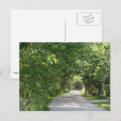 Pfad der Bäume Postkarte (Vorne/Hinten)