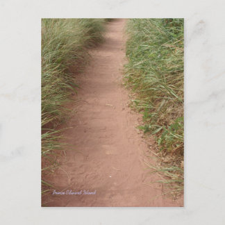 Pfad der Dünen auf der Postkarte