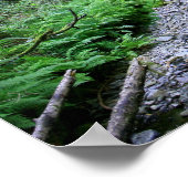 "Pfad der Fernen", Muir Woods Poster (Ecke)