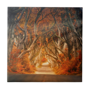 Pfad der Herbst-Wälder Fliese