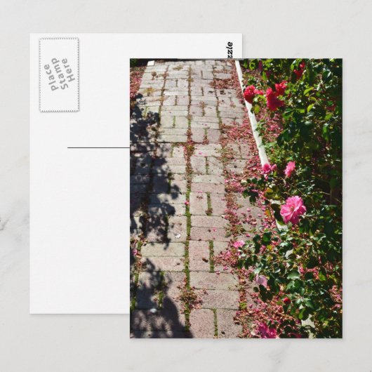 Pfad der Rose Postkarte (Vorne/Hinten)