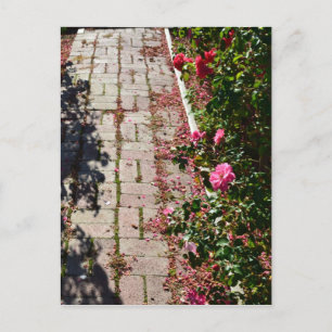 Pfad der Rose Postkarte