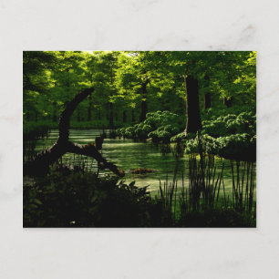 Pfad der Ruhe Postkarte