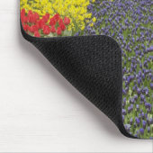 Pfad des Traubenhirntums, der Lauge und Mousepad (Ecke)