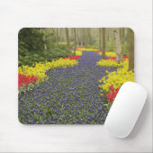 Pfad des Traubenhirntums, der Lauge und Mousepad (Mit Mouse)