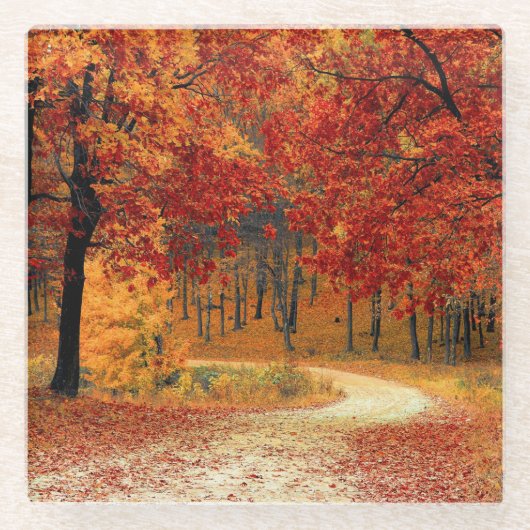 Pfad durch die Bäume im Herbst Glasuntersetzer (Vorderseite)