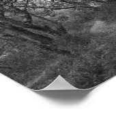 Pfad durch Eichenhain im Andrew Molera Staat Poster (Ecke)