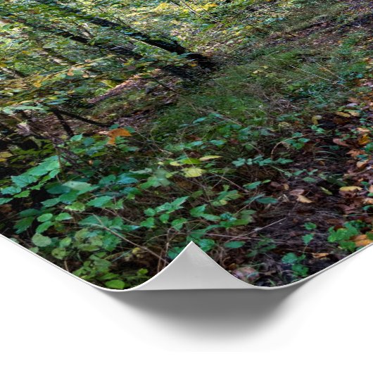 Pfad im Herbstwald, Heiliger Germain-Wald Poster (Ecke)
