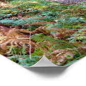 Pfad im Herbstwald, Heiliger Germain-Wald Poster (Ecke)