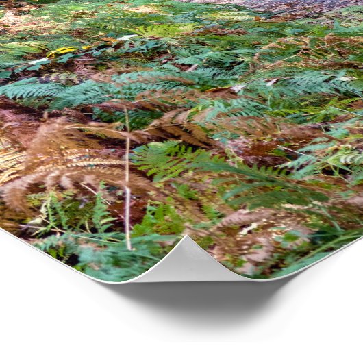 Pfad im Herbstwald, Heiliger Germain-Wald Poster (Ecke)