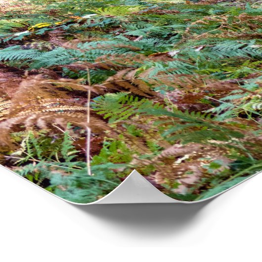 Pfad im Herbstwald, Heiliger Germain-Wald Poster (Ecke)