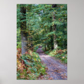 Pfad im Herbstwald, Heiliger Germain-Wald Poster (Vorne)